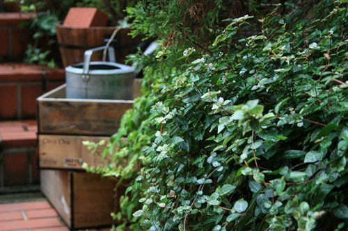 Kyoto Garden Hotel Ngoại thất bức ảnh